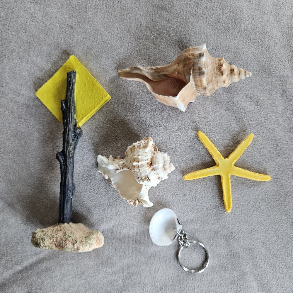 NEW Coastal Decor Set Shark Sign Shells Starfish & Shell Keychain Fish Tank Safe - Picture 2 of 10